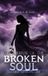 The Write Publishers The Journal Of The Broken Soul Hardcover