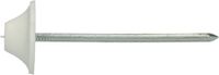 pgb-Europe PGB-FASTENERS Ondulinenagel Ø 3,0x70 witte kop