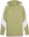 Puma TeamEVOSTRIPE Hoody 659954 Heren M Calming Green-Puma Silver-Puma White