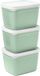 Amuse Optifridge Bio Vershoudbakjes - 3x1200ml - Groen