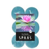 Spaas 12 Theelichten Geur, ± 4,5 uur - Fairy Waterlily