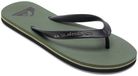 Quiksilver Molokai Core Sandalen Groen EU 39 Man