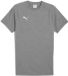 Puma TeamEVOSTRIPE T-shirt Heren XL Grijs