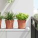 Maison Exclusive - Pot de fleurs, 24 pièces, couleur terre cuite, plastique
