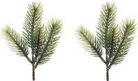 Merkloos Decoris dennentakjes - 2x - groen - 23 cm