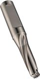 DORMER Porte-mandrin, type H853, longueur totale 251,6 mm