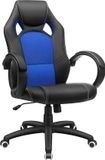 Famanu Wan GmbH Ergonomic Office Chair with Folding Armrest