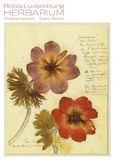 Herbarium Karl Dietz Verlag Berlin GmbH Herbarium Postkartenset