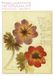 Herbarium Karl Dietz Verlag Berlin GmbH Herbarium Postkartenset