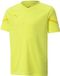 Puma Teamflash Jersey Jaune Fluo pour enfants - 116