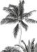 Komar Fotobehang - Retro Palm 200x280cm - Vliesbehang