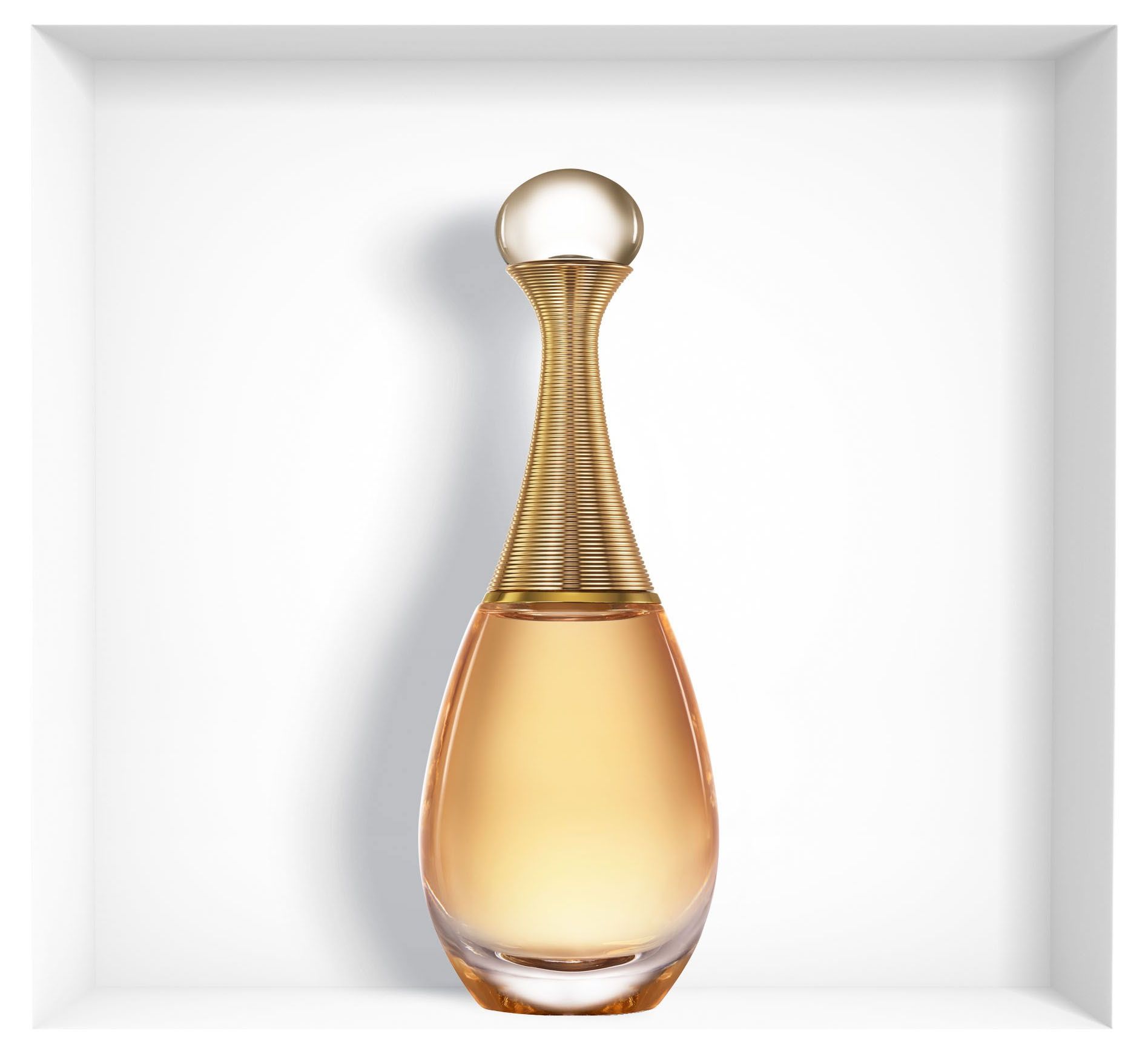 Dior J'adore / 100 ml / Women