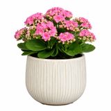 Mica Decorations Plantenpot Pablo - Keramiek - Wit Glans / Ribbels - D14 x H12 cm