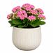 Mica Decorations Plantenpot Pablo - Keramiek - Wit Glans / Ribbels - D14 x H12 cm