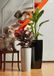 Elezza Musa Luce Pot Ø35 x H90 cm - Anthracite