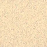 Clairefontaine 93504C Pakket Ingres Pastel Papier - 25 Vellen Beige Gemarmerd Geribd Ingres Papier - 50x65 cm 130g