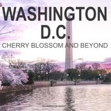 WASHINGTON DC: Cherry Blossom and Beyond