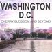 WASHINGTON DC: Cherry Blossom and Beyond