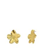 Lucardi Dames Stalen goldplated oorbellen bloemen