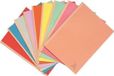 Exacompta FOREVER® 320 g/m2 - Pak van 25 dossiermappen met linnen rug - A4 - Geassorteerd