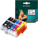 Epson Evoke T2621 T2631 T2632 T2633 T2634 26XL 5X: Noir Photo, Noir, Cyan, Magenta, Jaune 48 ml Expression Premium Xp-510 520 600 605 610 615 620 625 700 710 720 800 810 820