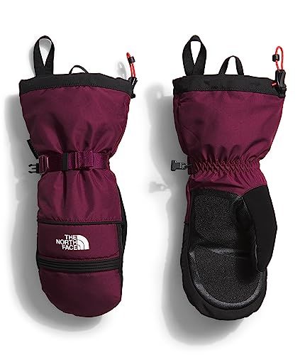 THE NORTH FACE Montana Handschoenen TNF Black/Vanadis Grey XL