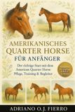 Amerikanisches Bol Amerikanisches Quarter Horse für Anfänger