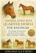 Amerikanisches Bol Amerikanisches Quarter Horse für Anfänger