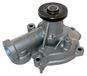 IPS Parts IPW-7H01 waterpomp