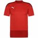 PUMA TeamGOAL 23 Training Jersey maillot d'entraînement pour hommes