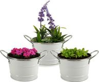 Arte r Plantenpot/bloempot teil - 3x - zink - wit - D12 x H17 cm