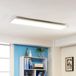 Arcchio Panneau LED Arthur, 1 lumière, Aluminium, PMMA, argent, blanc