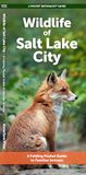 Wildlife Waterford Press Ltd Urban Wildlife- Wildlife of Salt Lake City