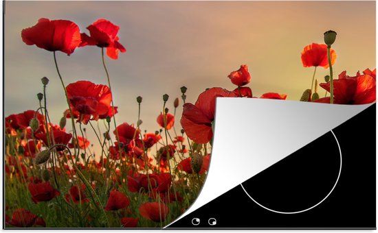 KitchenYeah® Inductie beschermer 77x51 cm - Bloemen - Rozen - Rood - Inductiebeschermer