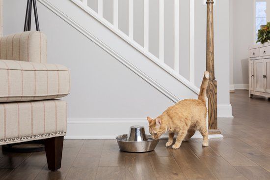 PetSafe Seaside Stainless Steel Pet Fountain - 1.8L - For Cats