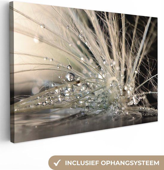 OneMillionCanvasses Canvas schilderij - Design - Macro - Water - 60x40 cm
