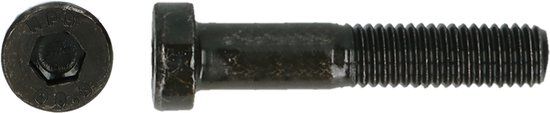 PGB-FASTENERS Lage BZK-schroef 8.8 DIN 7984 M 10x20
