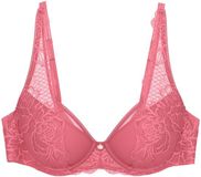 Triumph BH "Wild Peony Florale" WP Wild Rose 80B