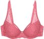 Triumph BH "Wild Peony Florale" WP Wild Rose 80B