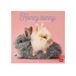 Legami Honey Bunny Wandkalender 2027