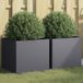 Maison Exclusive - Jardinières, 2 pièces, anthracite, 42x40x39 cm, acier
