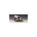 Valeo 087979 Phare