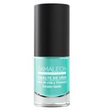 CAMALEON EMALE NAGELS MINT GROEN