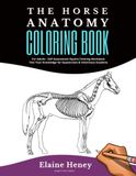 Horse Anatomy Coloring Book For Adults