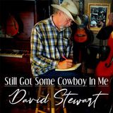 Sonic Rendezvous David Stewart - Still Got Some Cowboy In Me (CD)