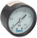 Bosta MANOMETER 50 MM BUITENDRAAD 0 - 6 BAR TYPE DROOG ACHTERAANSLUITING 1/4"
