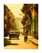 Komar Muurschildering Cuba Streets | Poster, afbeelding, woonkamer, slaapkamer, decoratie, kunstdruk | zonder lijst | P122A-40x50 | Formaat: 40 x 50 cm (breedte x hoogte)