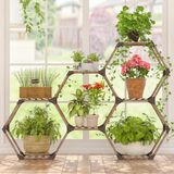 Merkloos Zeshoekige transformeerbare plantenstandaard voor buiten - plantenrek voor ramen tuin balkon woonkamer - 7 planken van polycarbonaat (pc)