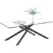 Table basse rectangulaire verre trempé, pieds métal façonné noir, H46 x L100 x P60 cm salon