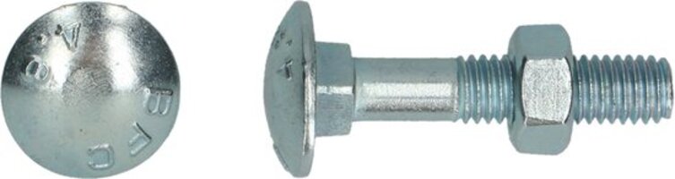 PGB-FASTENERS Houtbout 4.8 DIN 603/555 M10x100 Zn | 50 st
